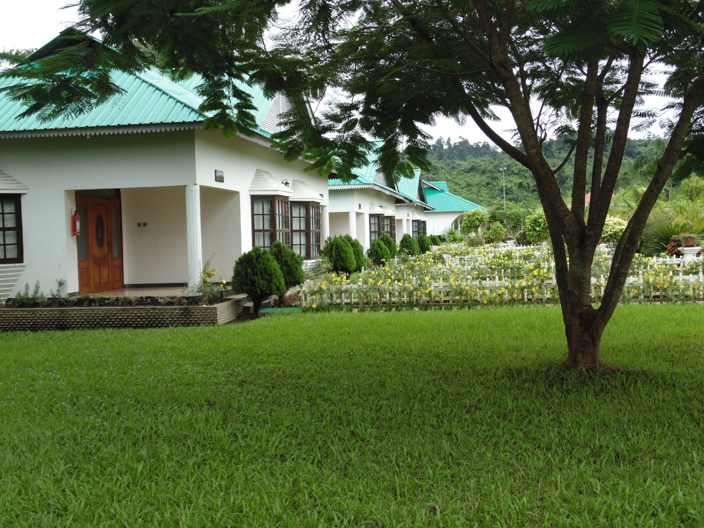 Garden-facing cottages with emerald roofs at Grasslands Resort