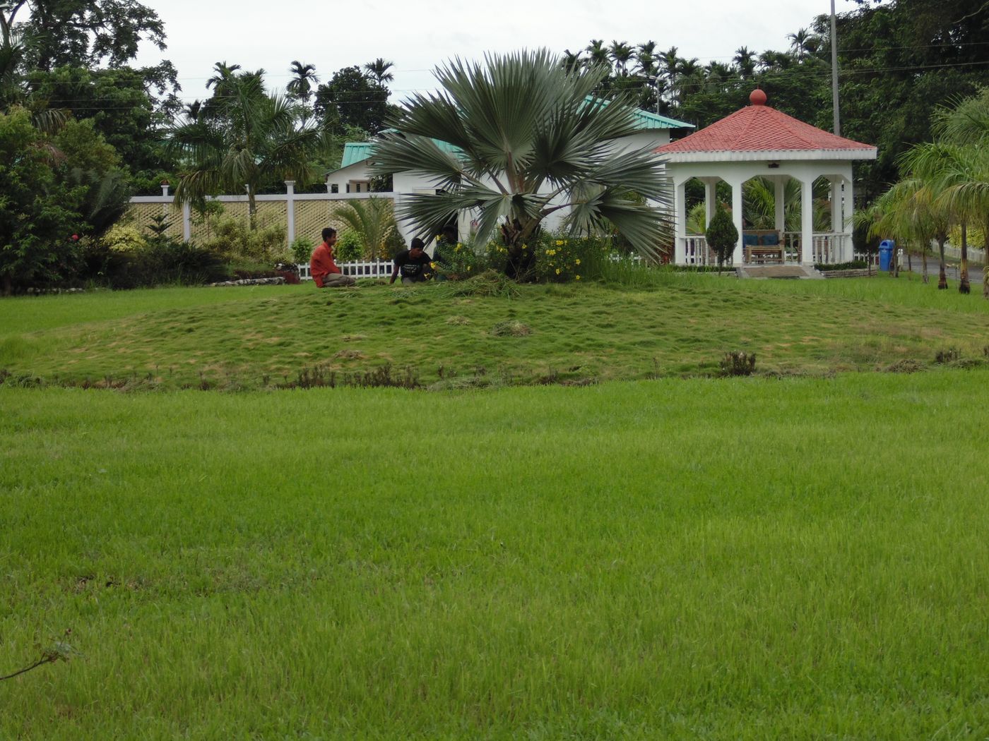 Gazebo and lawns in the resort gardens