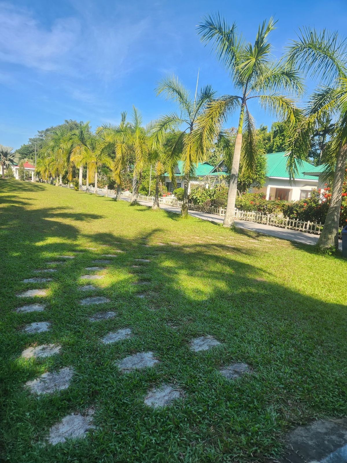 Stepping-stone path beneath tall palms