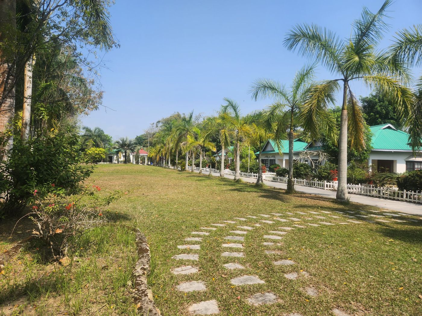Curving stepping-stone path through the lawns