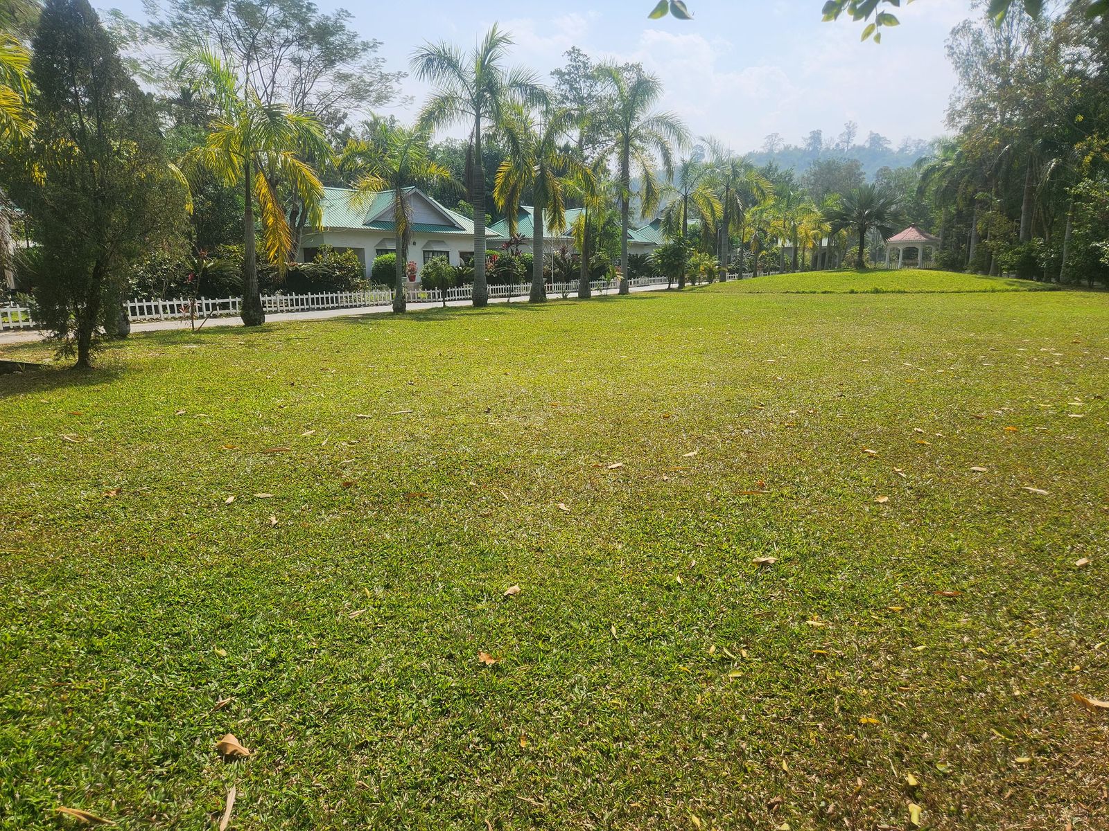 The expansive open lawn framed by palms at Grasslands Resort